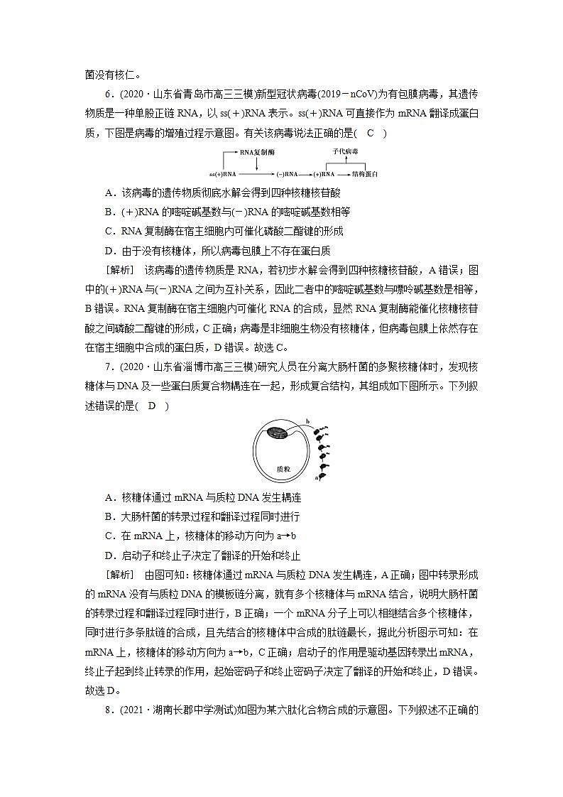 2022届高考生物（人教版）一轮总复习练习：必修2 第2单元 第3讲 基因的表达 Word版含答案03