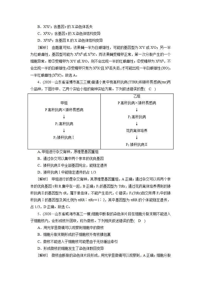 2022届高考生物（人教版）一轮总复习练习：必修2 第3单元 第2讲 染色体变异与育种 Word版含答案第2页
