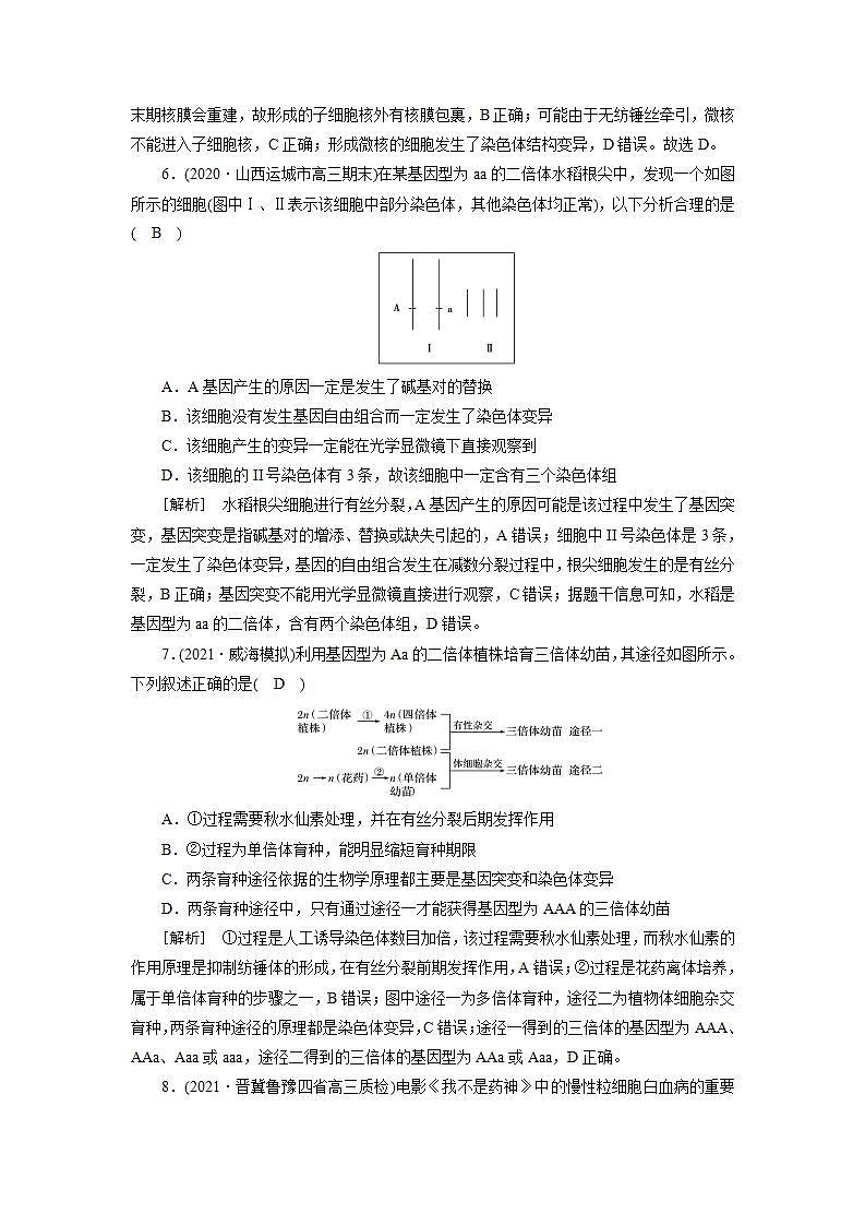 2022届高考生物（人教版）一轮总复习练习：必修2 第3单元 第2讲 染色体变异与育种 Word版含答案第3页