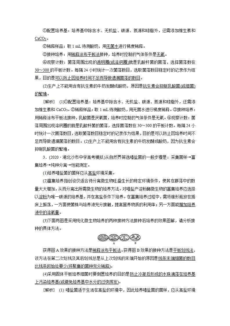 2022届高考生物（人教版）一轮总复习练习：选修1 第2讲 微生物的培养和应用 Word版含答案第2页