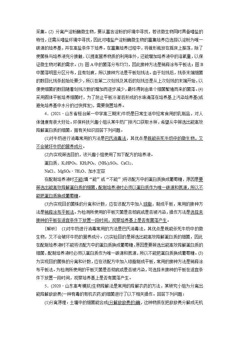 2022届高考生物（人教版）一轮总复习练习：选修1 第2讲 微生物的培养和应用 Word版含答案第3页