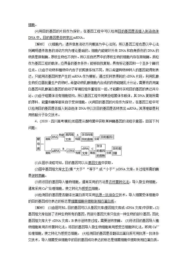 2022届高考生物（人教版）一轮总复习练习：选修3 第1讲 基因工程 Word版含答案第3页