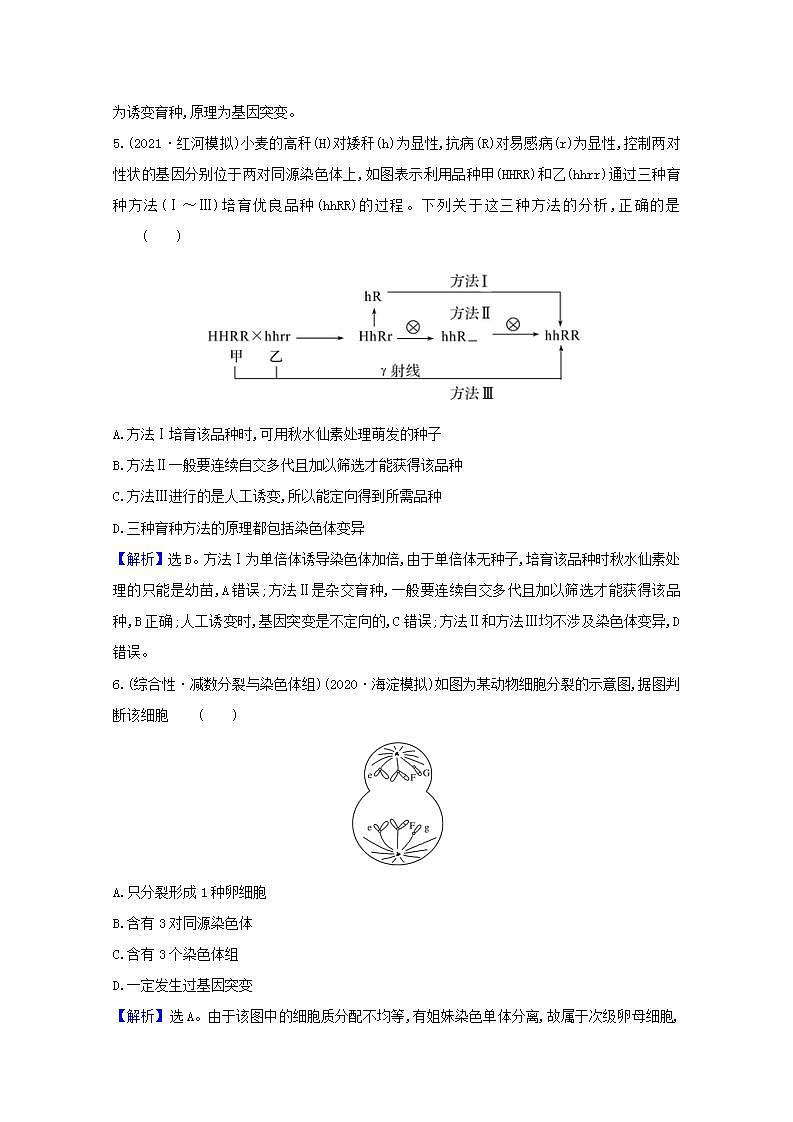 2022版高考生物一轮复习课时作业二十一染色体变异生物变异与生物育种含解析新人教版第3页