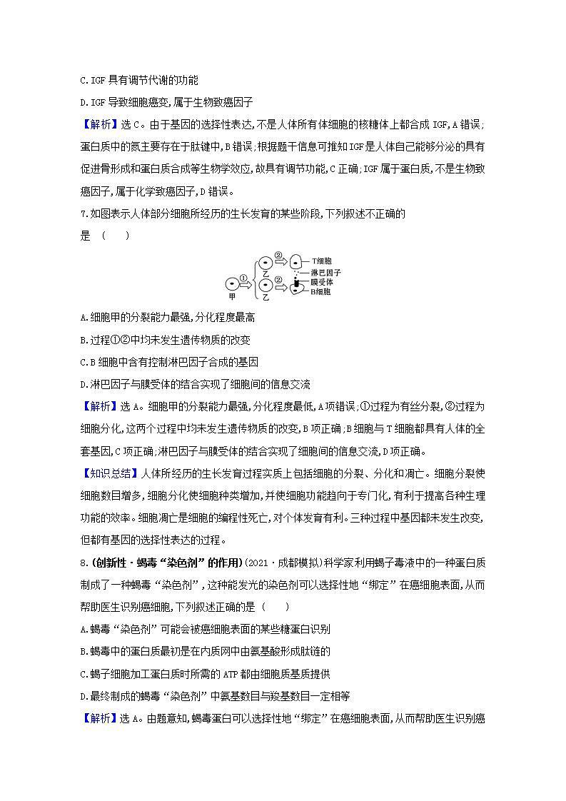 2022版高考生物一轮复习课时作业十三细胞的分化衰老凋亡和癌变含解析新人教版第3页