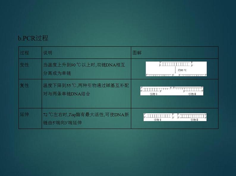 2022版高考生物选考江苏专用一轮总复习课件：专题25基因工程与蛋白质工程 —基础篇07