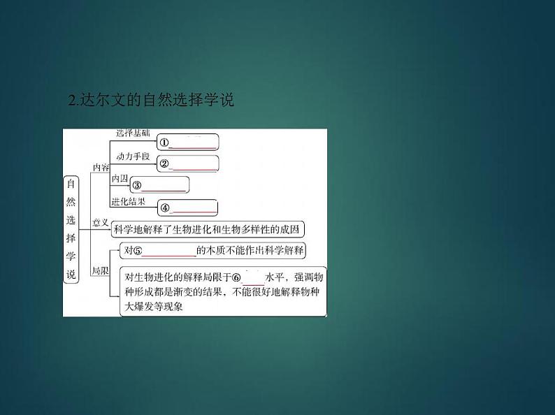 2022版高考生物选考江苏专用一轮总复习课件：专题14生物的进化 —基础篇第3页