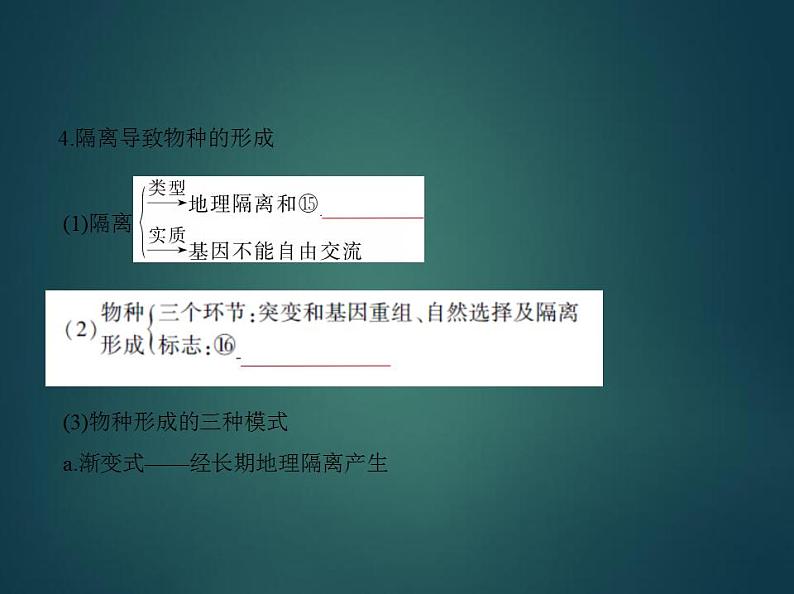 2022版高考生物选考江苏专用一轮总复习课件：专题14生物的进化 —基础篇第6页