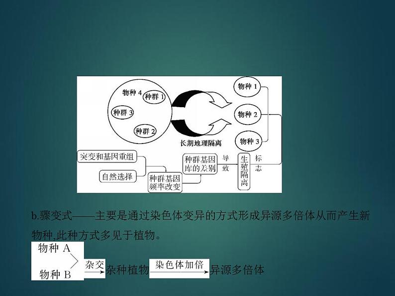 2022版高考生物选考江苏专用一轮总复习课件：专题14生物的进化 —基础篇第7页