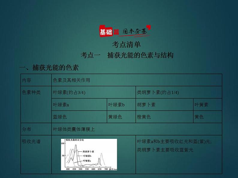 2022版高考生物选考江苏专用一轮总复习课件：专题6光合作用 —基础篇第2页