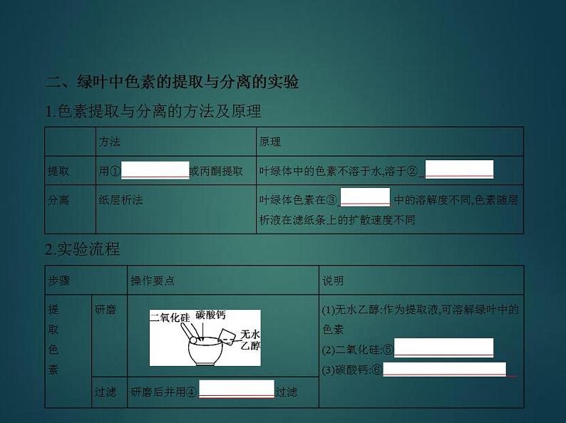 2022版高考生物选考江苏专用一轮总复习课件：专题6光合作用 —基础篇第4页