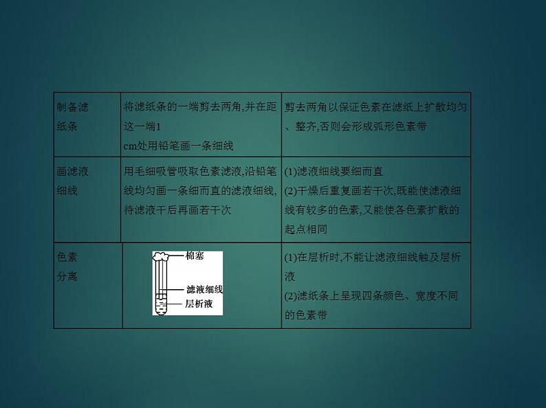 2022版高考生物选考江苏专用一轮总复习课件：专题6光合作用 —基础篇第5页