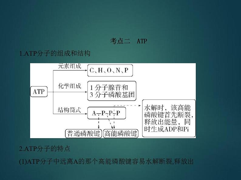 2022版高考生物选考江苏专用一轮总复习课件：专题4酶与ATP —基础篇06