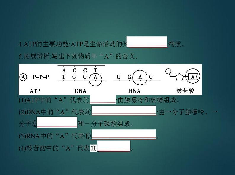 2022版高考生物选考江苏专用一轮总复习课件：专题4酶与ATP —基础篇08