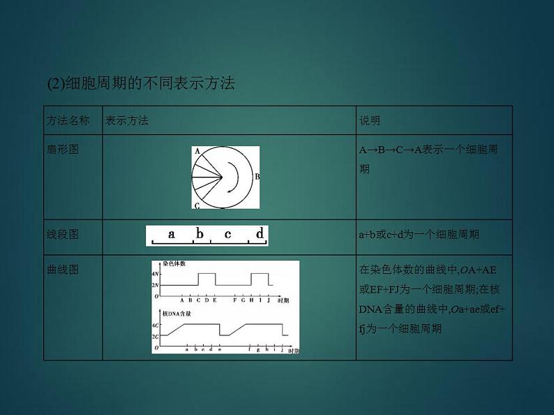 2022版高考生物选考江苏专用一轮总复习课件：专题7细胞的生命历程 —基础篇03