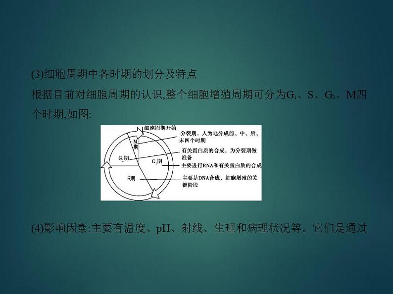 2022版高考生物选考江苏专用一轮总复习课件：专题7细胞的生命历程 —基础篇04