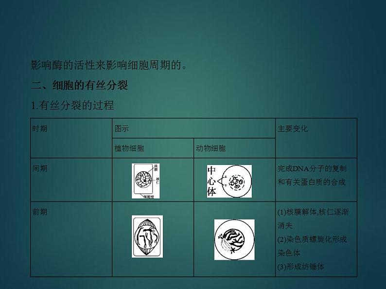 2022版高考生物选考江苏专用一轮总复习课件：专题7细胞的生命历程 —基础篇05