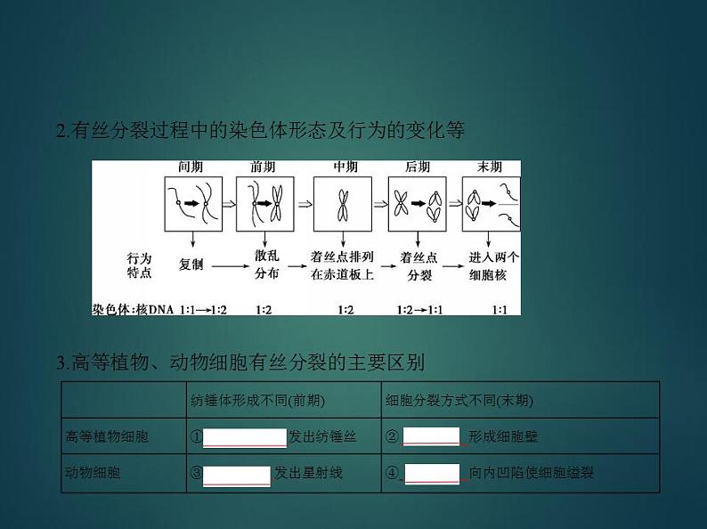 2022版高考生物选考江苏专用一轮总复习课件：专题7细胞的生命历程 —基础篇07