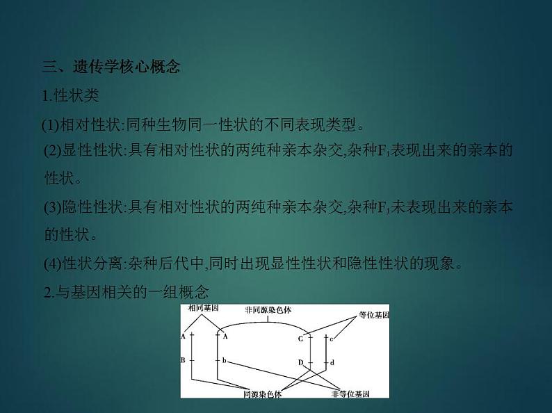 2022版高考生物选考江苏专用一轮总复习课件：专题10基因的分离定律 —基础篇第6页