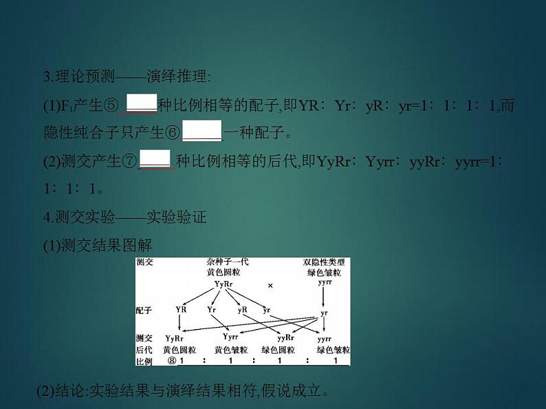 2022版高考生物选考江苏专用一轮总复习课件：专题11基因的自由组合定律 —基础篇第5页