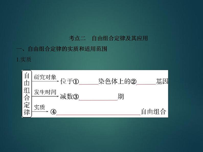 2022版高考生物选考江苏专用一轮总复习课件：专题11基因的自由组合定律 —基础篇第6页