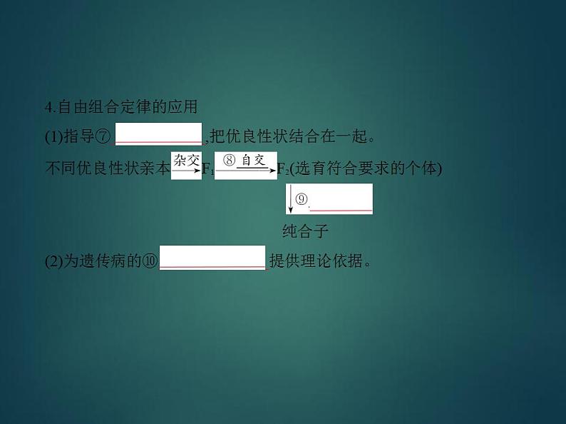 2022版高考生物选考江苏专用一轮总复习课件：专题11基因的自由组合定律 —基础篇第8页