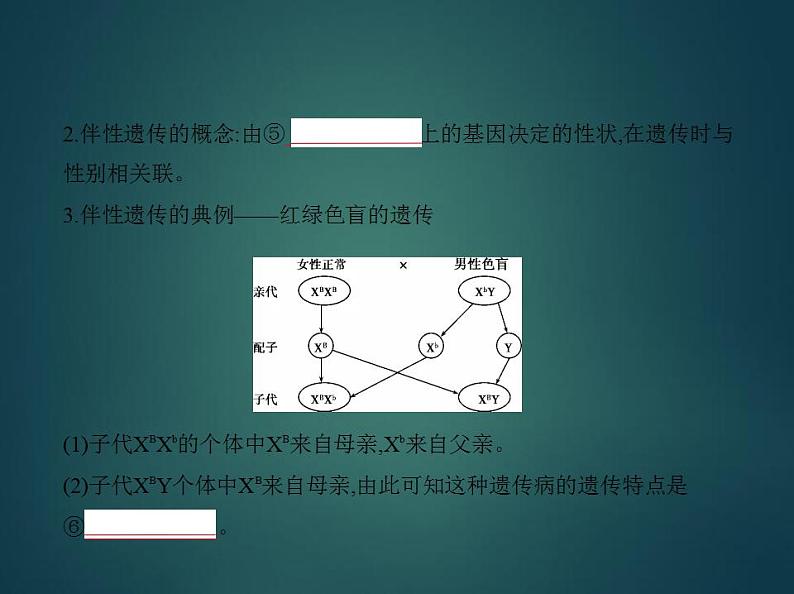 2022版高考生物选考江苏专用一轮总复习课件：专题12伴性遗传与人类遗传病 —基础篇06