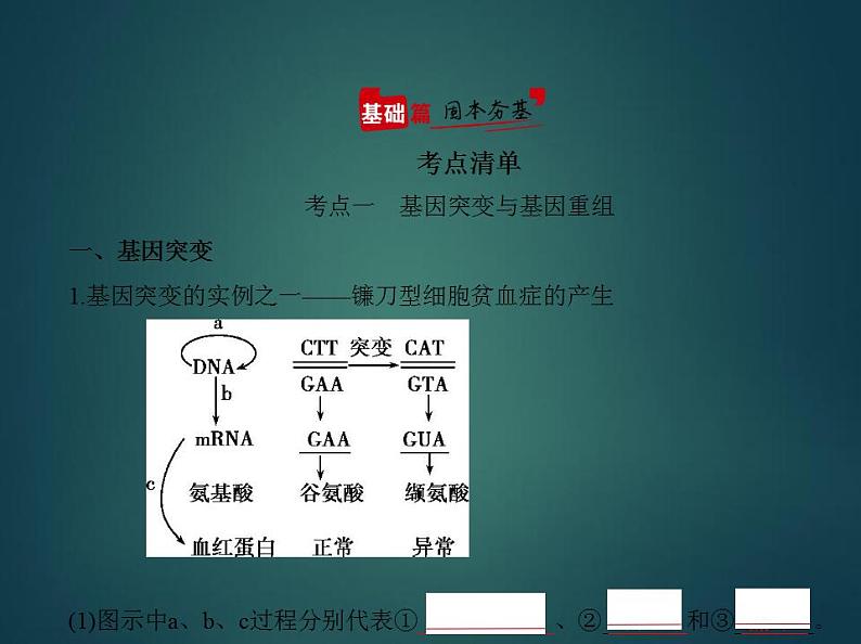 2022版高考生物选考江苏专用一轮总复习课件：专题13生物的变异 —基础篇02