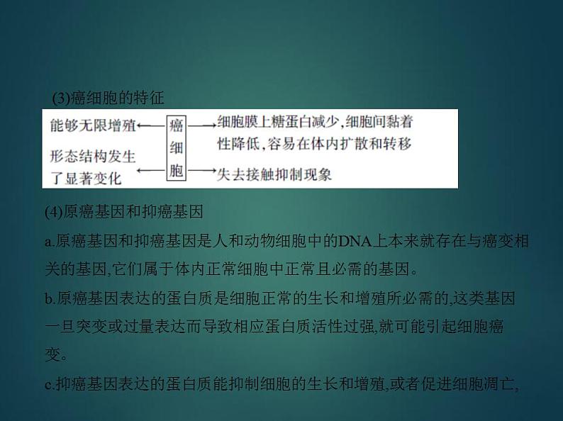 2022版高考生物选考江苏专用一轮总复习课件：专题13生物的变异 —基础篇05