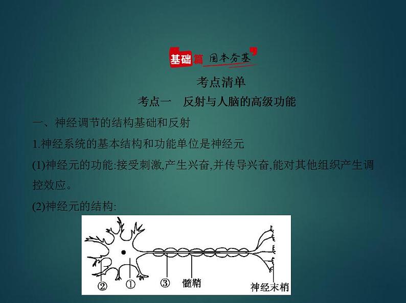 2022版高考生物选考江苏专用一轮总复习课件：专题16神经调节 —基础篇第2页