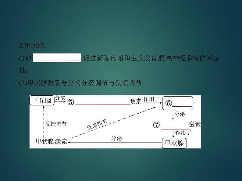 2022版高考生物选考江苏专用一轮总复习课件：专题17体液调节及与神经调节的关系 —基础篇04