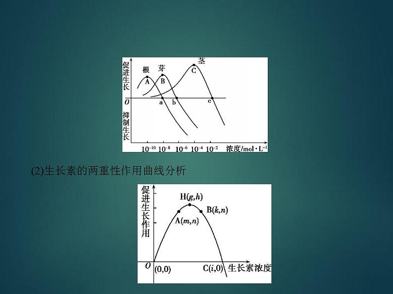 2022版高考生物选考江苏专用一轮总复习课件：专题19植物激素调节 —基础篇第7页