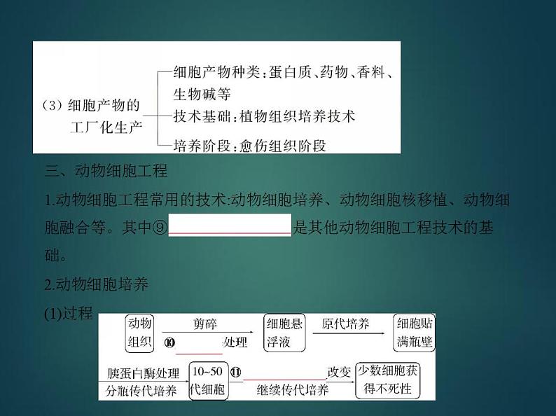 2022版高考生物选考江苏专用一轮总复习课件：专题24细胞工程与胚胎工程 —基础篇第8页