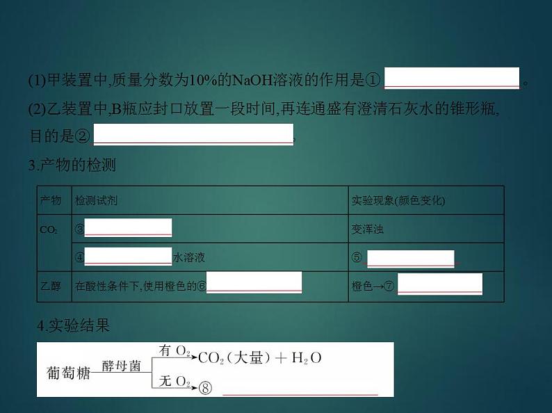 2022版高考生物选考江苏专用一轮总复习课件：专题5细胞呼吸 —基础篇03