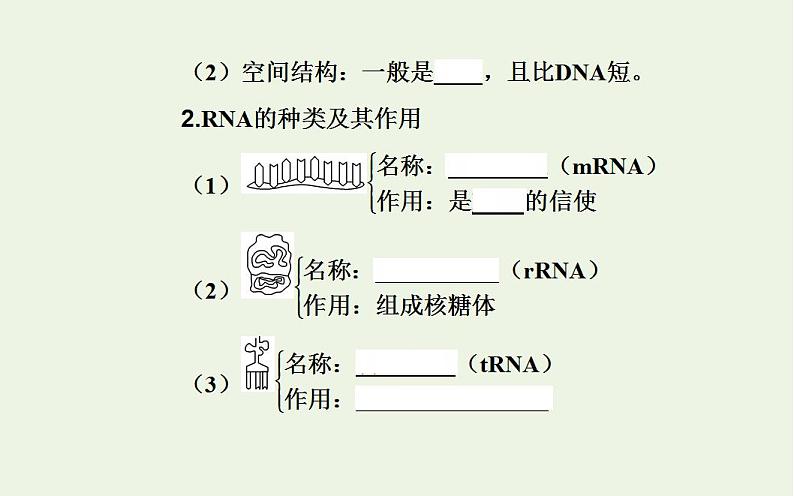 2022届新教材高考生物一轮复习专题八基因的表达课件第4页