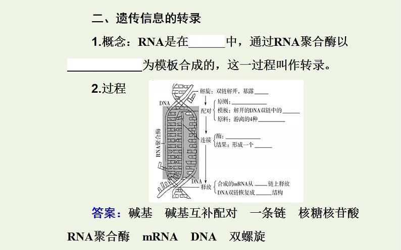 2022届新教材高考生物一轮复习专题八基因的表达课件第5页