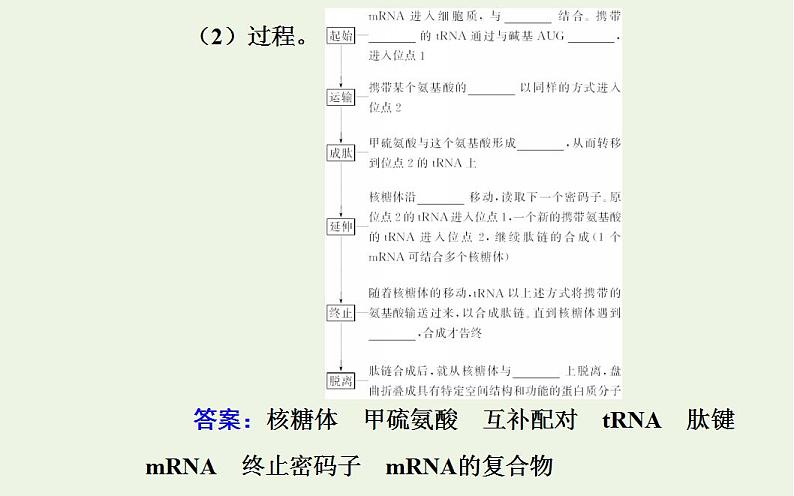 2022届新教材高考生物一轮复习专题八基因的表达课件第7页