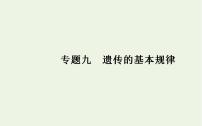 2022届新教材高考生物一轮复习专题九遗传的基本规律课件