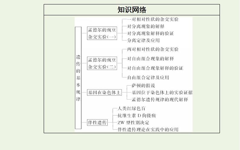 2022届新教材高考生物一轮复习专题九遗传的基本规律课件第3页