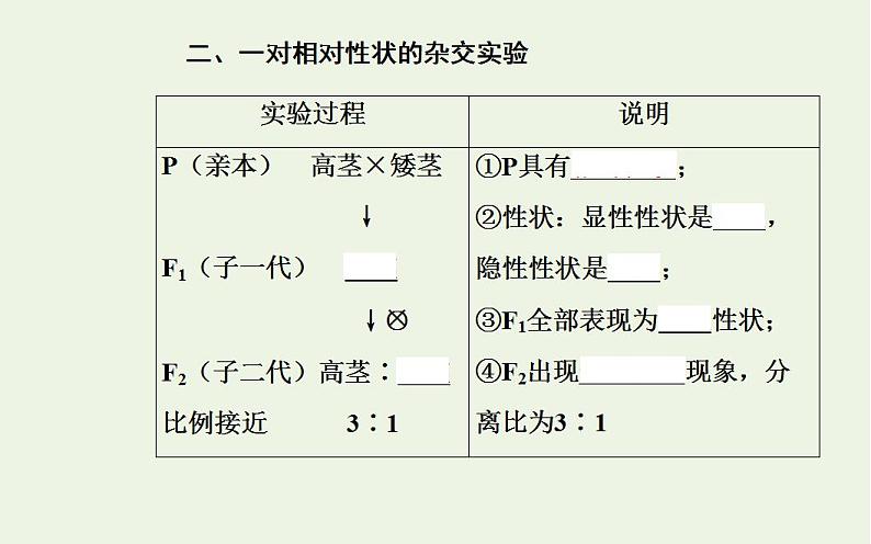 2022届新教材高考生物一轮复习专题九遗传的基本规律课件第6页