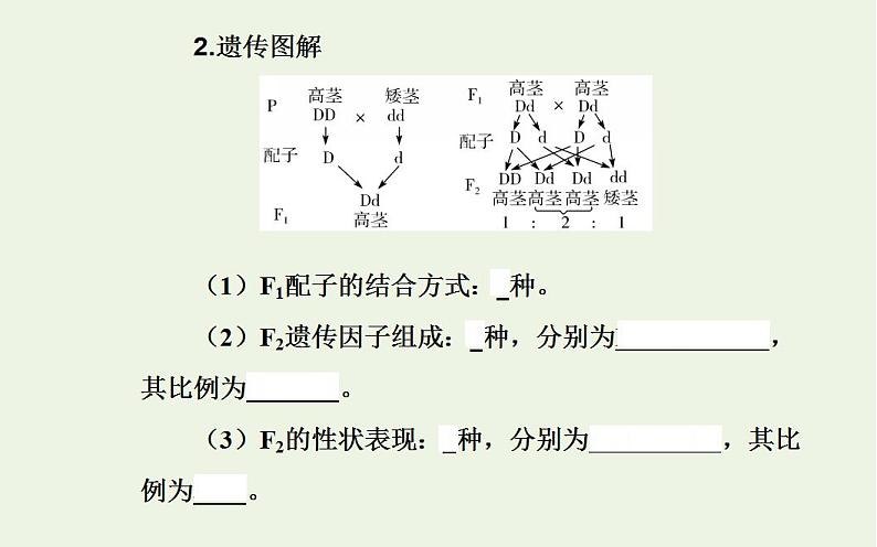 2022届新教材高考生物一轮复习专题九遗传的基本规律课件第8页