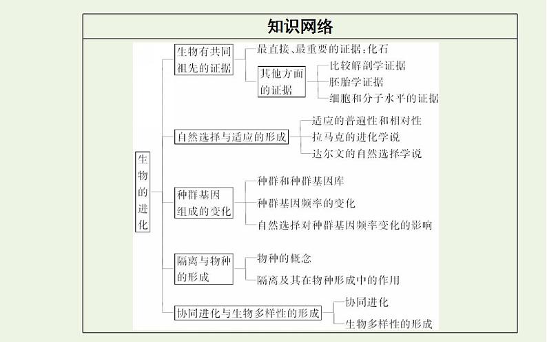 2022届新教材高考生物一轮复习专题十一生物的进化课件第3页