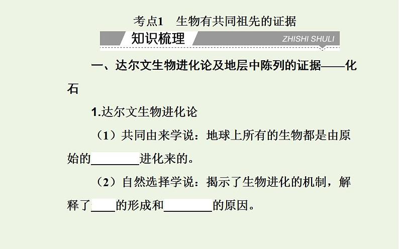 2022届新教材高考生物一轮复习专题十一生物的进化课件第4页