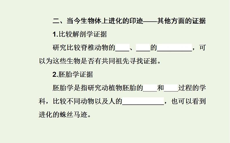 2022届新教材高考生物一轮复习专题十一生物的进化课件第7页