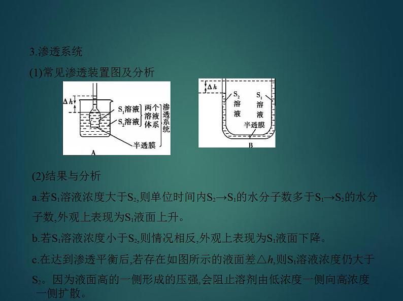 2022版高考生物选考江苏专用一轮总复习课件：专题3物质出入细胞的方式 —基础篇第3页