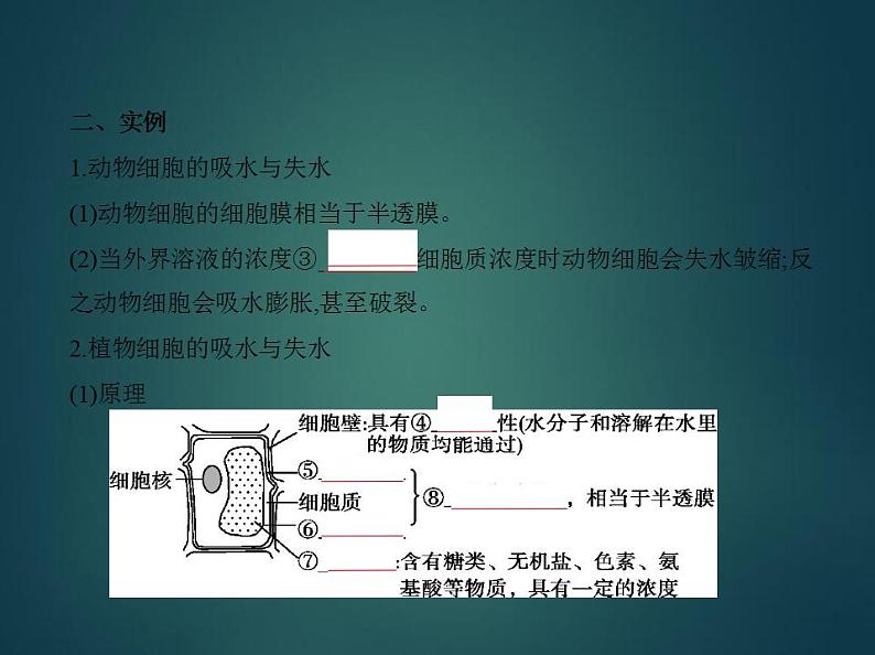 2022版高考生物选考江苏专用一轮总复习课件：专题3物质出入细胞的方式 —基础篇第4页