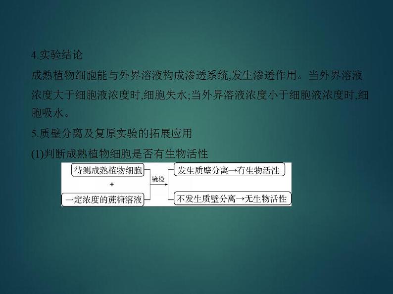 2022版高考生物选考江苏专用一轮总复习课件：专题3物质出入细胞的方式 —基础篇第7页