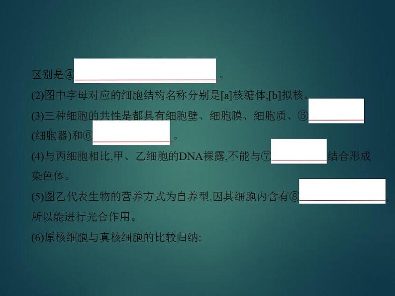 2022版高考生物选考江苏专用一轮总复习课件：专题2细胞的结构与功能 —基础篇04