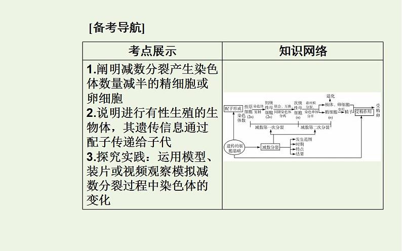 2022届新教材高考生物一轮复习专题六遗传的细胞基次件 课件PPT第2页