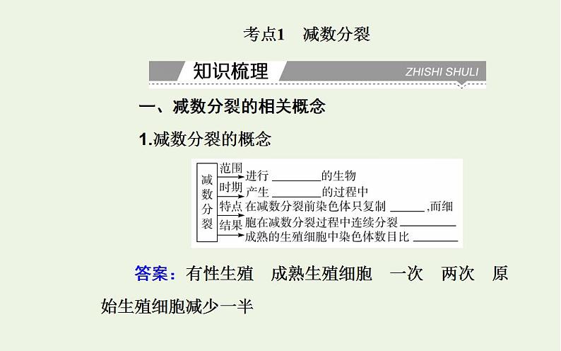 2022届新教材高考生物一轮复习专题六遗传的细胞基次件 课件PPT第3页