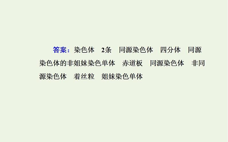 2022届新教材高考生物一轮复习专题六遗传的细胞基次件 课件PPT第6页